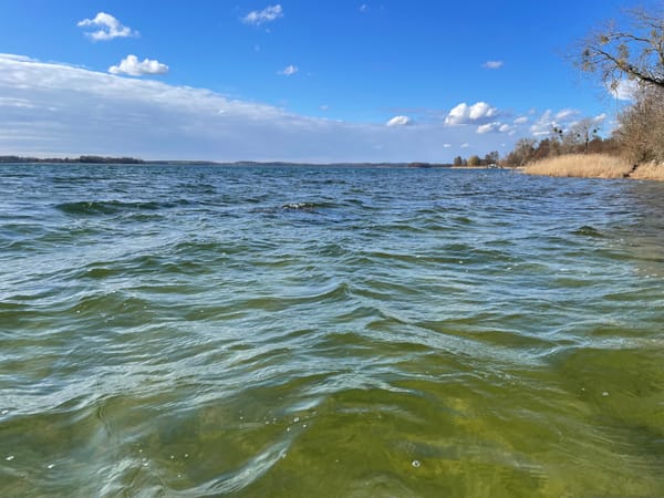 Wasserstand: Top